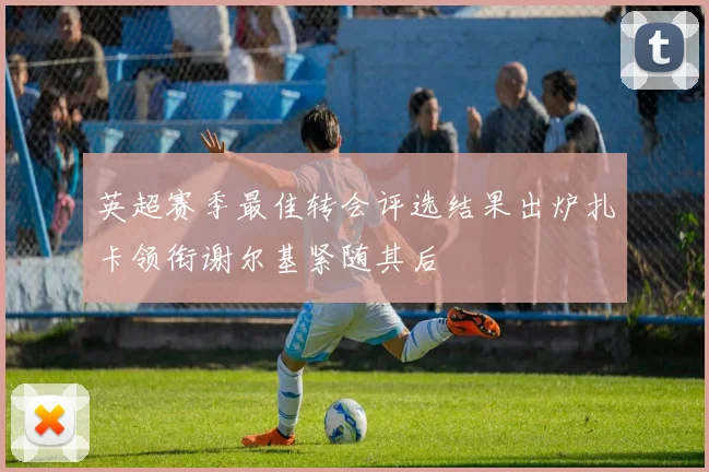 英超赛季最佳转会评选结果出炉扎卡领衔谢尔基紧随其后
