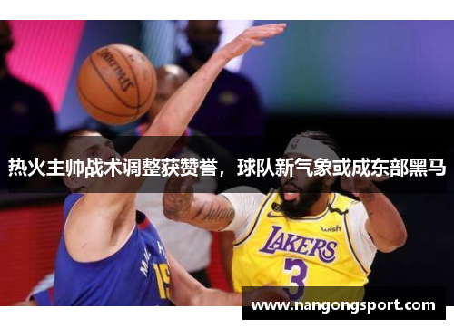 热火主帅战术调整获赞誉,球队新气象或成东部黑马